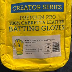  Batting Gloves 