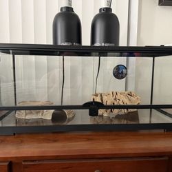 Reptile Tank