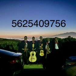 Violin. Y Arco De Mariachi 