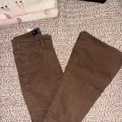 Hollister Flared Brown Pants 