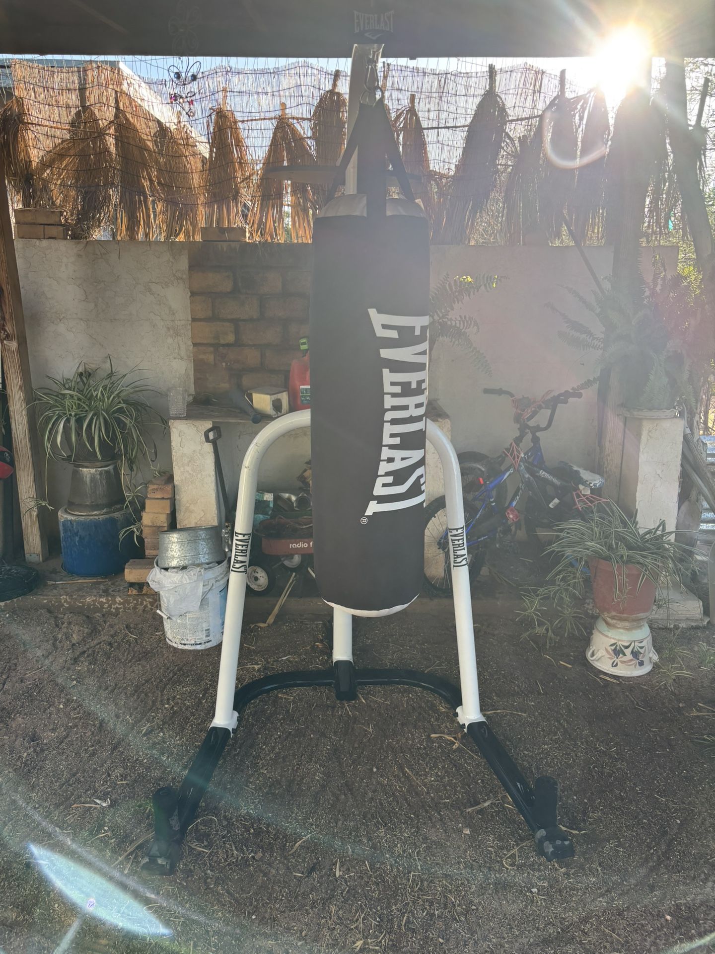 Everlast Powercore Dual Bag and Stand