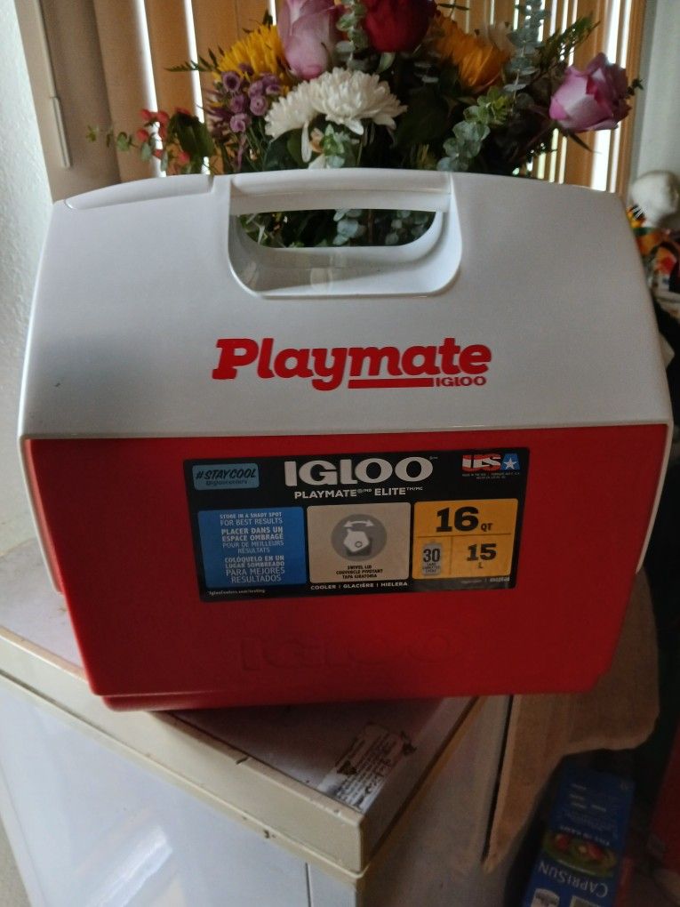 Cooler 16qt