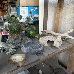 Reptiles Supplies 