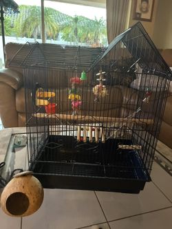 Nice Bird Cage W/Toys/Supplies Included