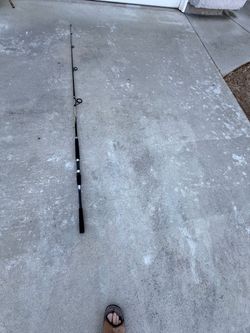 Daiwa Surf Rod