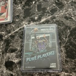 Lebron With Case