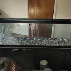 Fish Tank or Reptile 