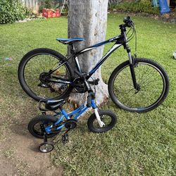 GIANT Bike and Small Bike Combo