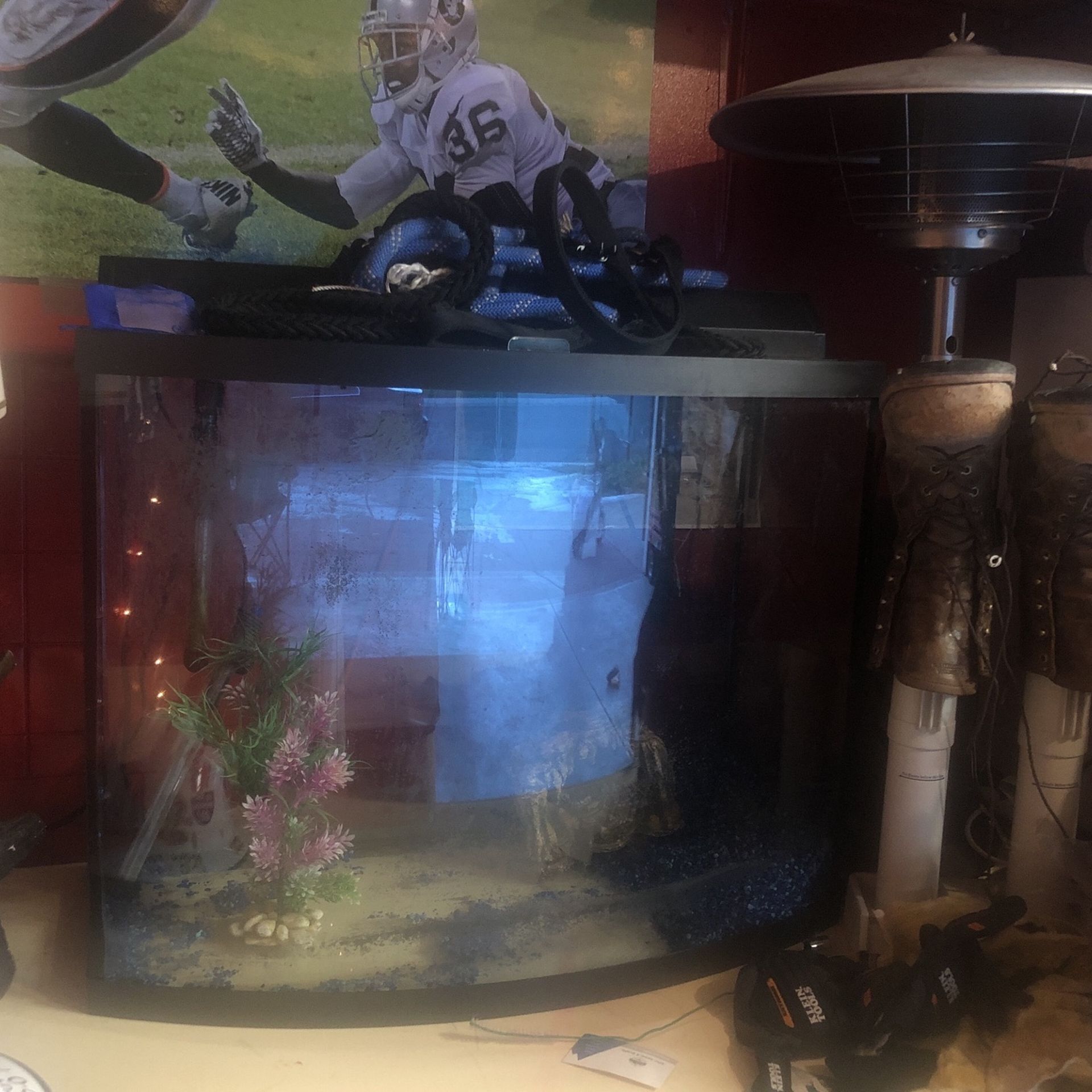 36g Fish Tank Aquarium