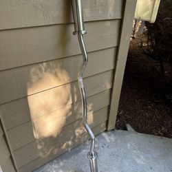 Olympic Curl Bar 