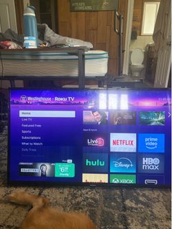 Roku TV 42” with remote