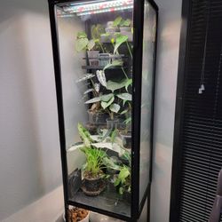 Plant Cabinet