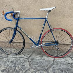 Bianchi Classic Road Bike 63cm Frame 
