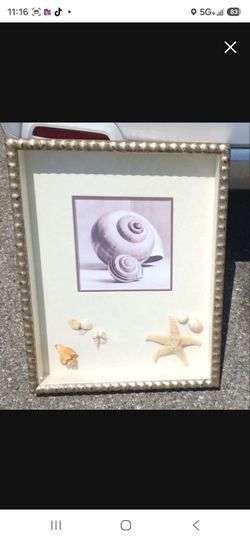 (2) shadow boxes, 19 x 24, contents removable, $25 each