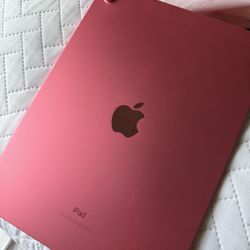 pink ipad 10th gen