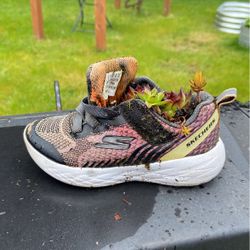 Skechers Succulent Shoe Planter 