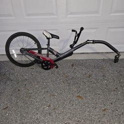 Novara Afterburner 20" Tagalong Bike Trailer
