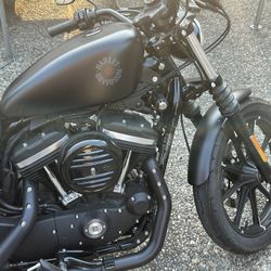 2019 Harley Davidson