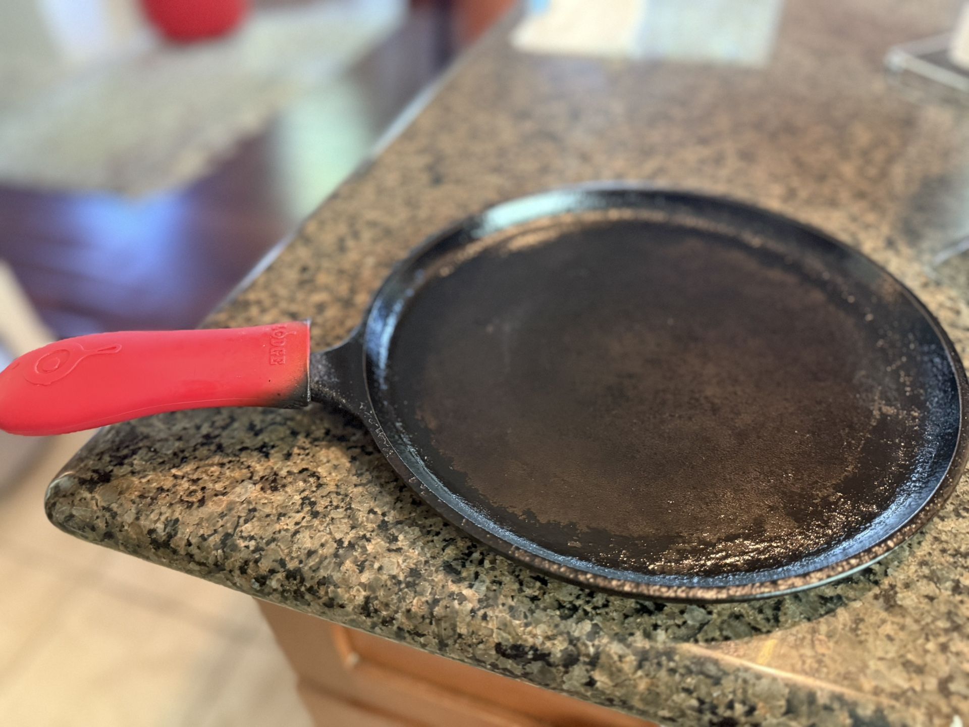 Cast Iron 10”