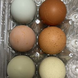 Farm Fresh Unwashed Rainbow Eggs