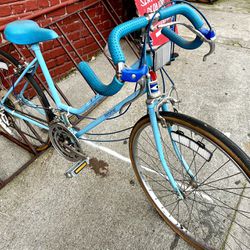 Baby Blue Mixte Road Bike (Schwinn)