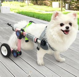 Dog Wheelchair for back Legs