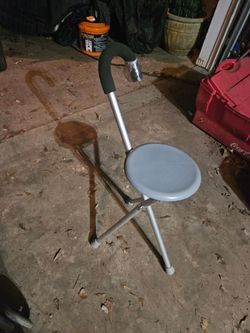 Cane w/ seat