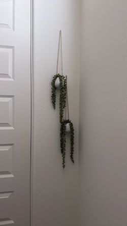 Plants artificial