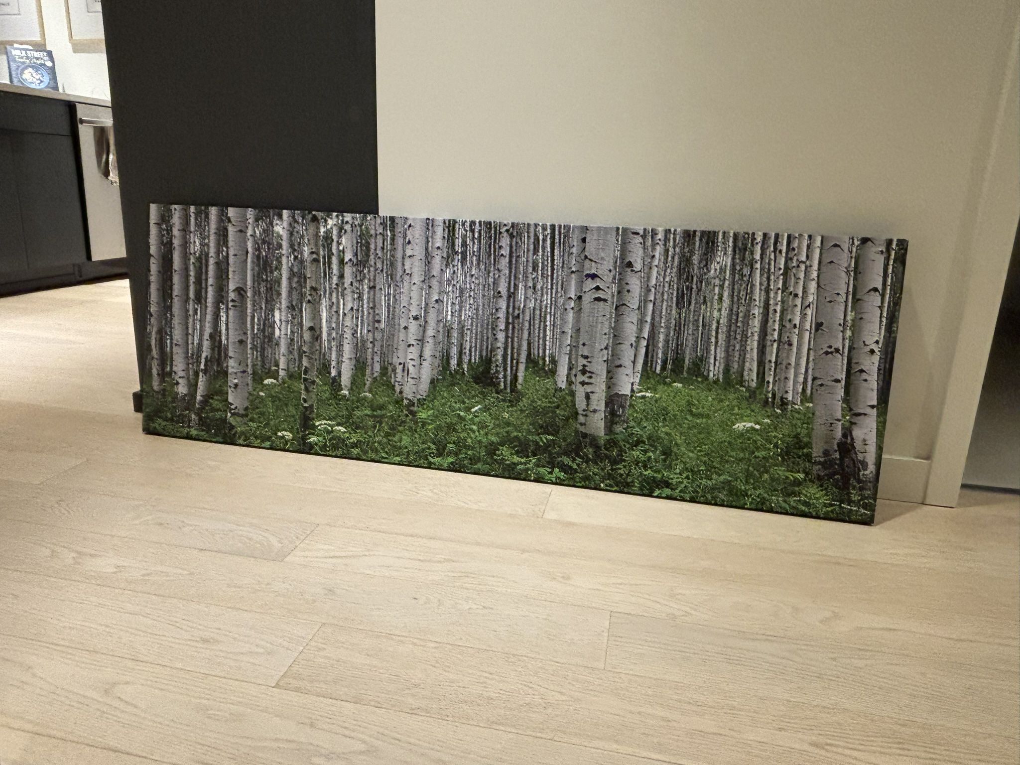 Aspen Trees / Rockies Canvas Art Print