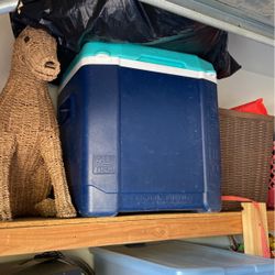 Igloo Cooler 