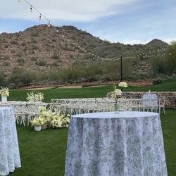 10 - 120” Dusty Sage Green French Toile Pattern TableCloths 