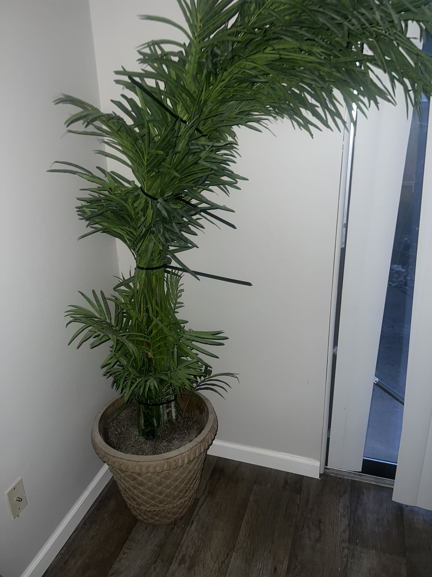 Big Artificial Plant