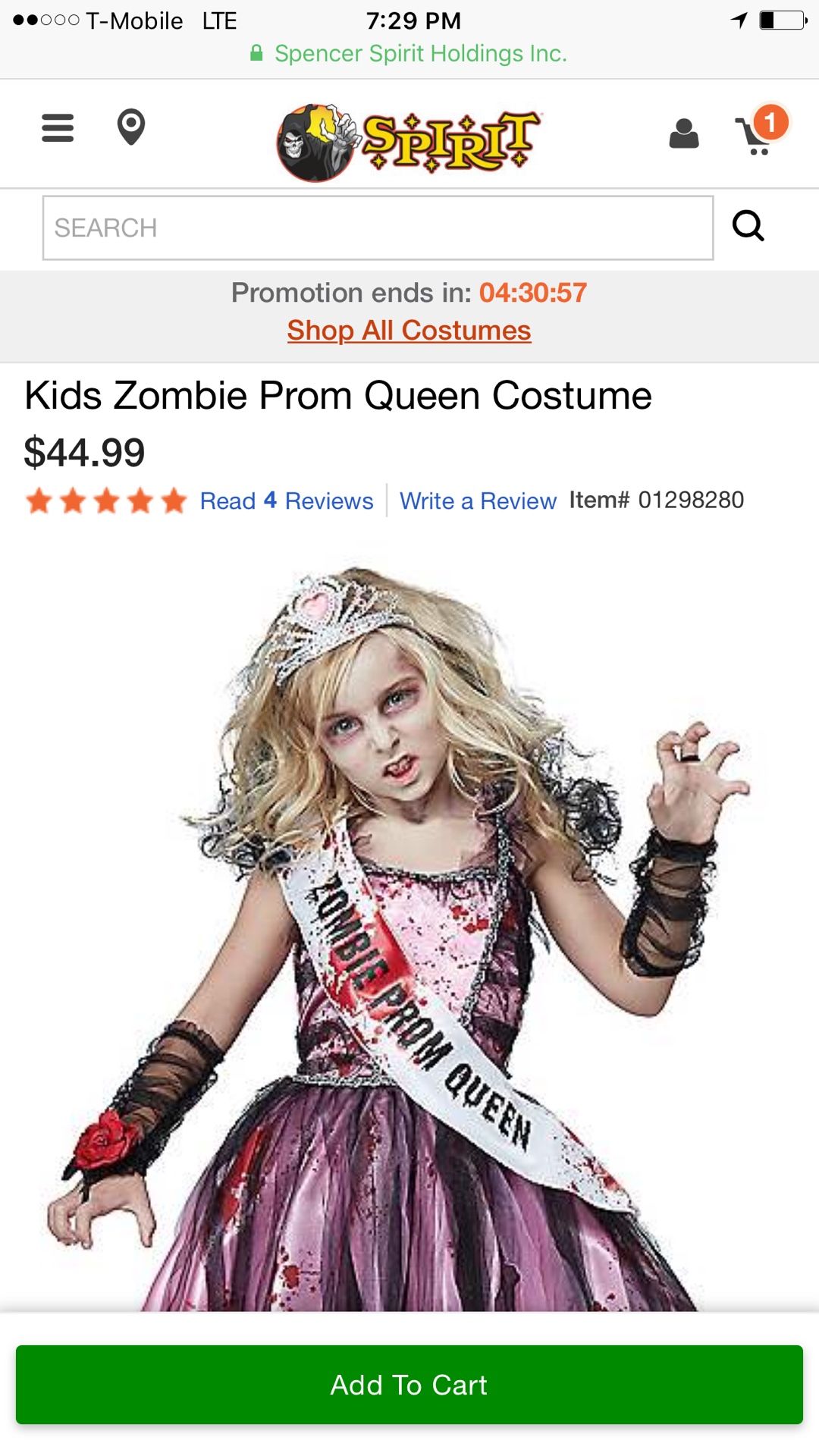 Zombie Prom Queen Costume