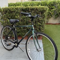 Bicycles Raleigh Hybrid C-30 / 700x38 