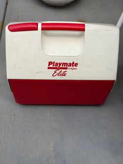 Igloo cooler