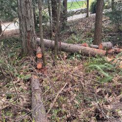 Firewood
