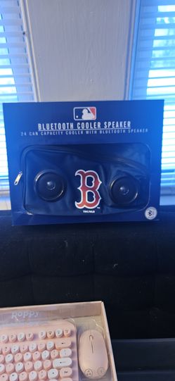 Boston cooler with Bluetooth speakers