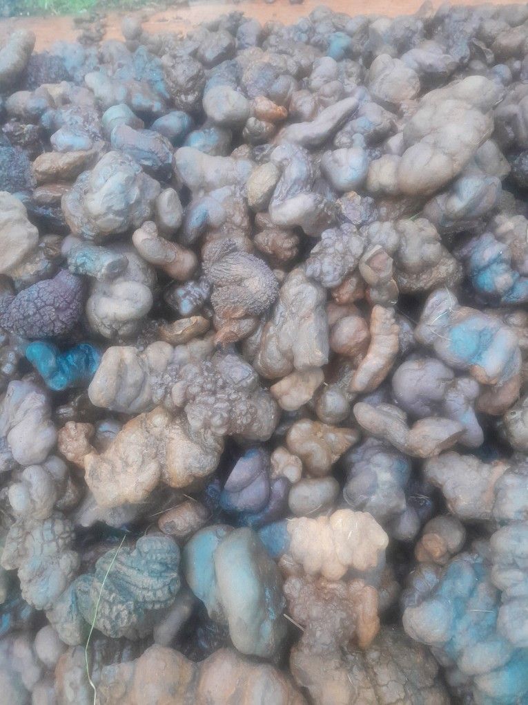Corpolite (Poo Rocks)
