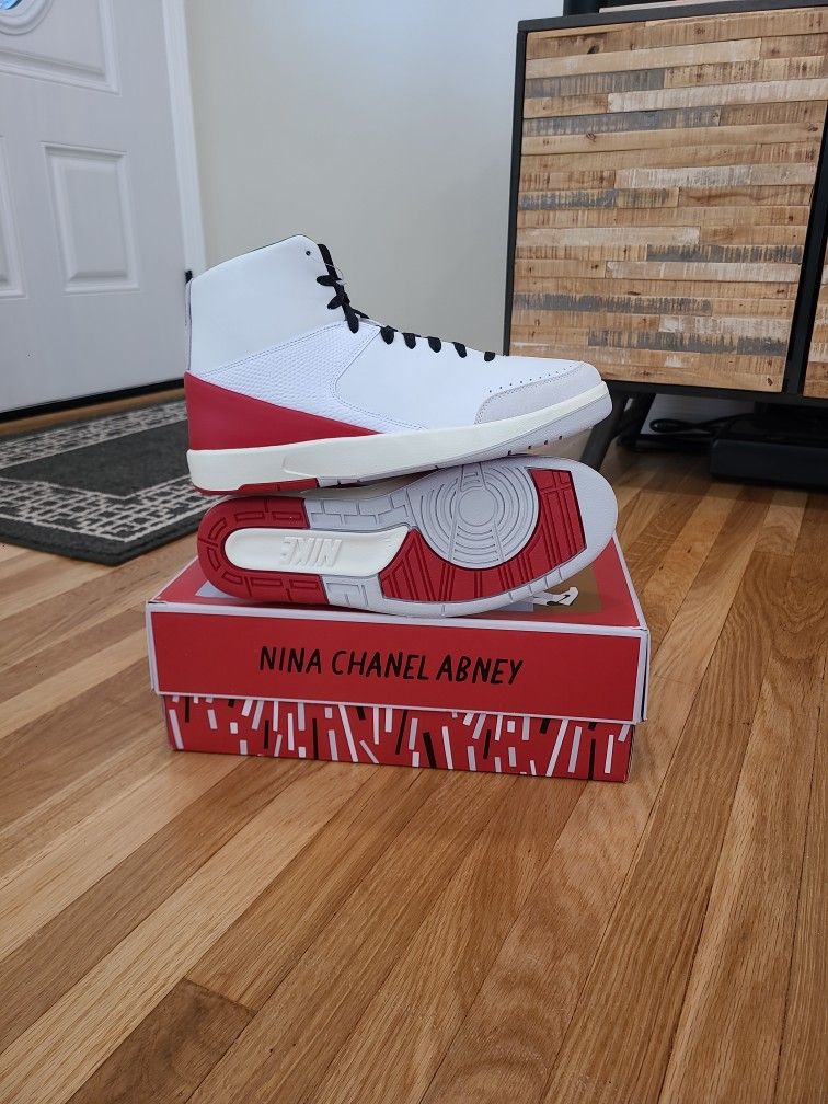 Nina Chanel Abney Jordan Retro Size