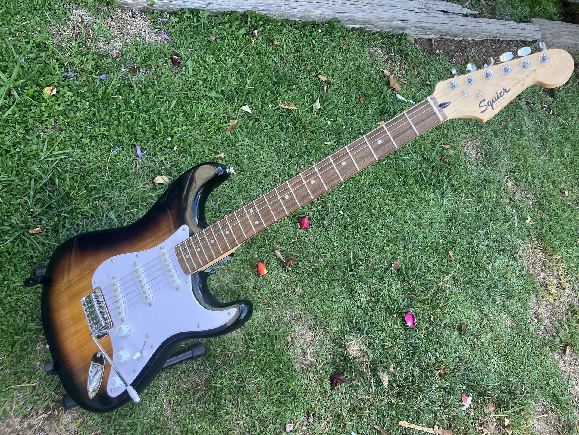 Squier Stratocaster