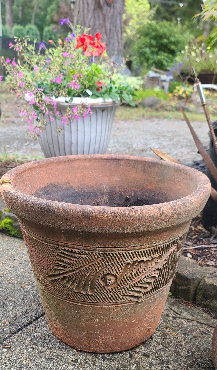 Large Vintage Heavy Terra Cotta Flower Pot With Beautiful Design