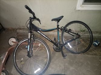 Ladies Schwinn bike