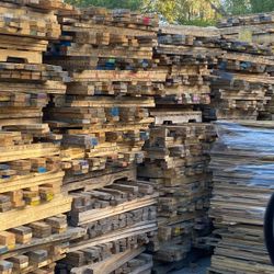 48 Runners Four Ways