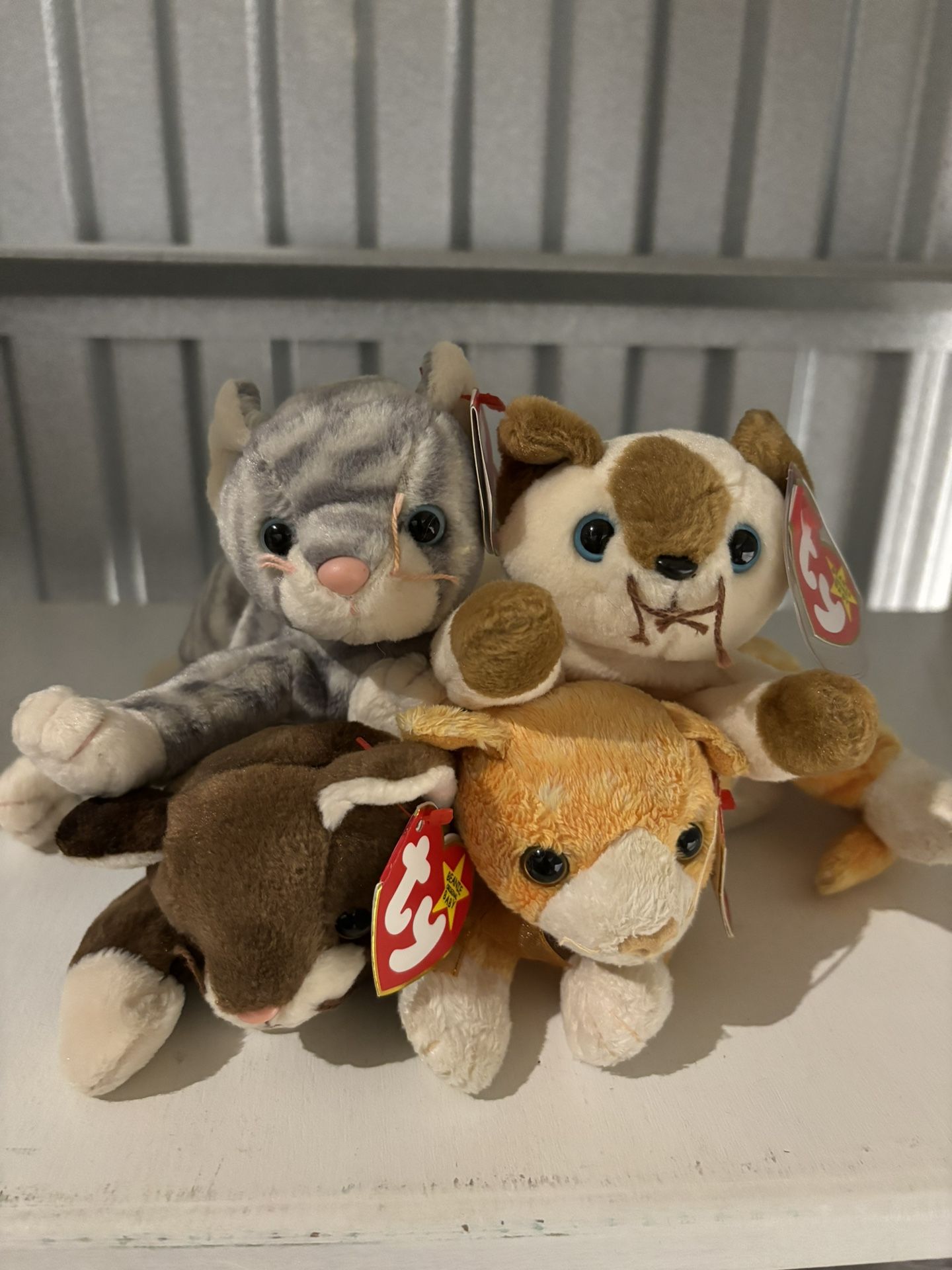 Ty Beanie Babies: Cat Bundle #1