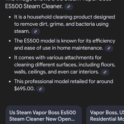 Professional steam cleaner.
