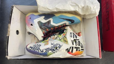 What The LeBron Sz 10.5 