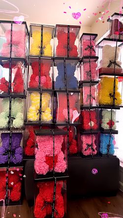 Ositos de Rosas Teddy 