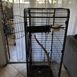 Bird Cage For Sale