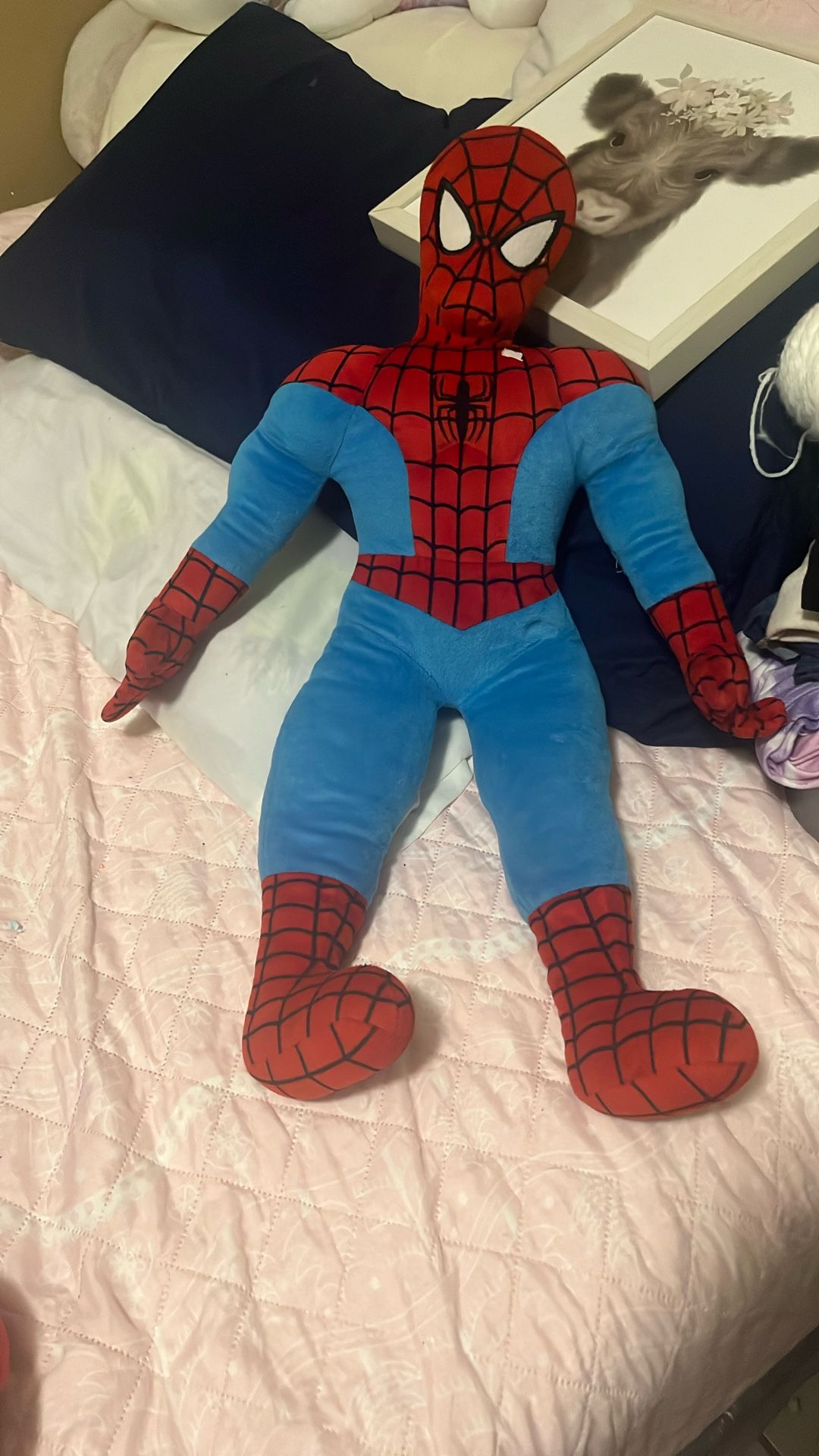 Spider