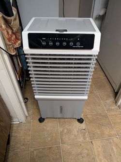 Fan